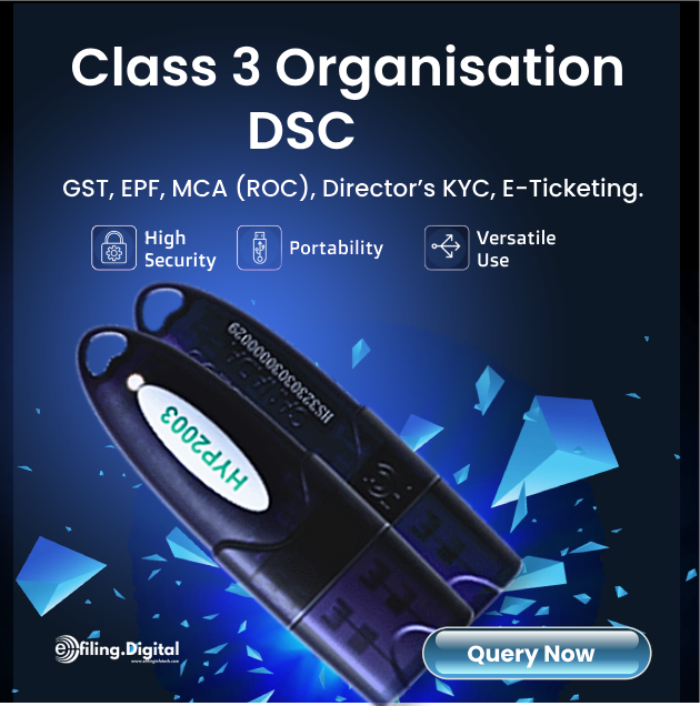 Class 3 Organisation DSC
